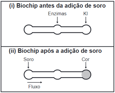 Esquema do exame para o diagnóstico de diabetes.