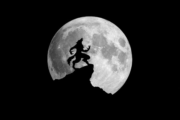 Lobisomem uivando para a lua. Lobisomem uivando para a lua.